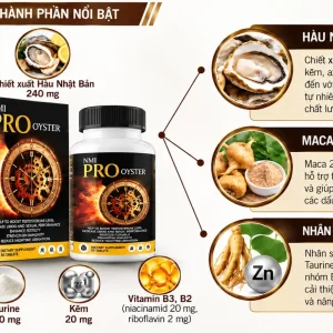 Infographic Pro Oyster tông nâu vàng