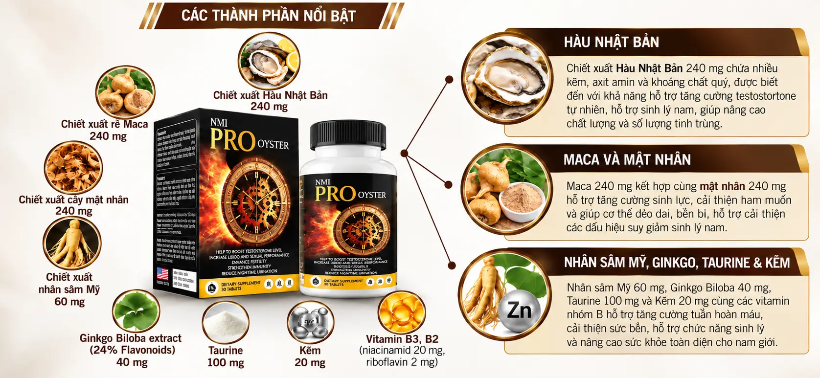 Infographic Pro Oyster tông nâu vàng Infographic Pro Oyster tông nâu vàng