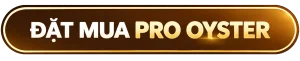 CTA